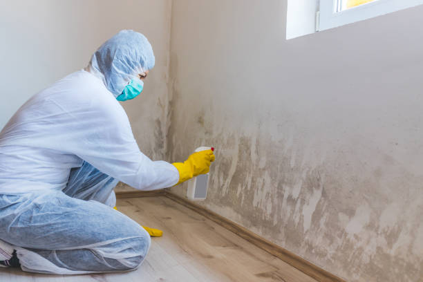 Commercial Mold Remediation assessment for commercial property in Alamance