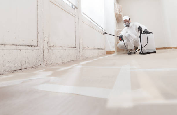 Black mold remediation team in Alamance