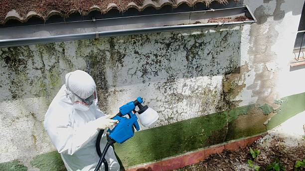 Mold Removal service in Alamance